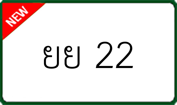 ยย 22